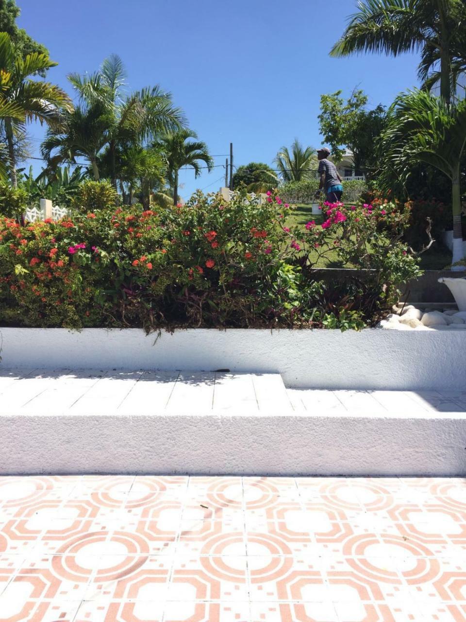 Goldenview Guesthouse Ocho Rios Eksteriør bilde